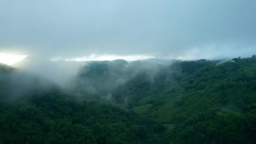 4K Aerial Drone shot flying over beautiful mountain ridge in rural jungle bush forest.