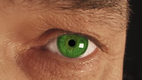 Vivid Green Eye Opens and Closes in Macro Shot