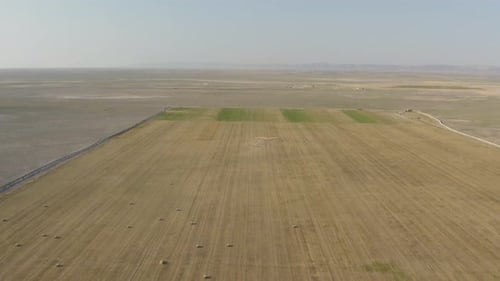 Herd Of Sheep Aerial View