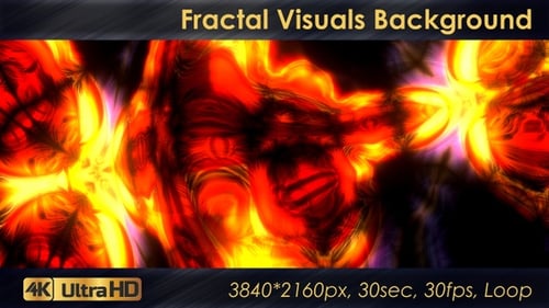 Fractal Visuals