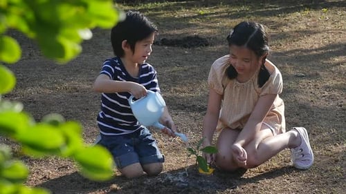 Children Planting and Watering a Plant Outdoors