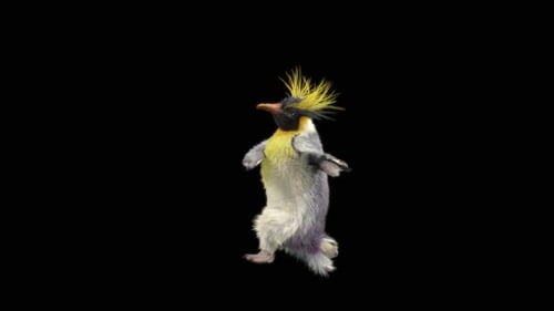 Lively 3D Animated Emperor Penguin Dancing Character