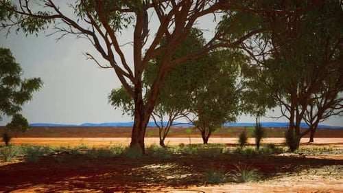 Australian Outback Landscape with Trees Swaying in Wind