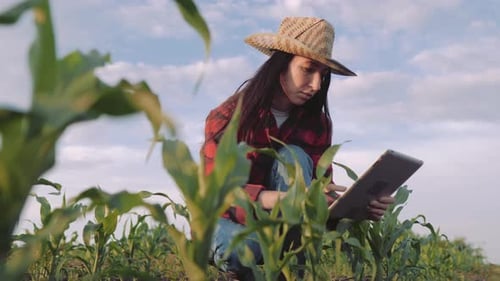 Cultivation of Agricultural Products