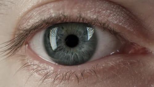 Macro Close-up of Blinking Male Human Eye, Young Caucasian Man Looking at Camera