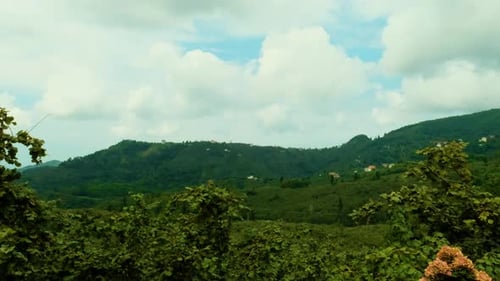 Mountain Landscape
