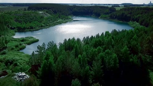 Flying over calm pond in forest