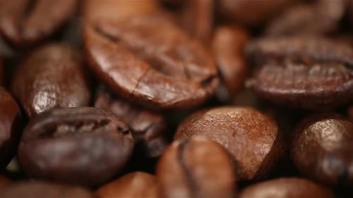 Close Up Shot of Coffee Beans