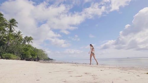 Young Woman in Bikini Walking on Wet Sand on Sea Beach on Sky an Palm Tree View