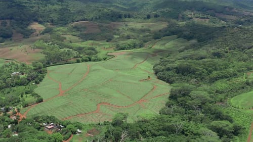 Landscape of a Pacific Island with Lagoon in Aerial View