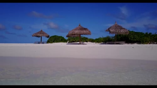 Aerial view scenery of marine coastline beach wildlife by turquoise ocean and white sandy background