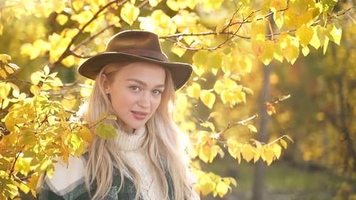 Attractive Woman Posing in Autumn Leaves