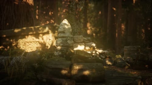 Hoary Ruins of Ancient City in Pine Forest