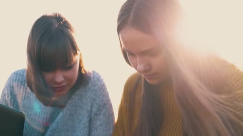 Young Adults Working On Laptop Together