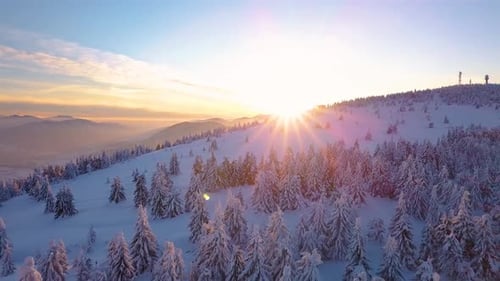 Sonnenaufgang in den Bergen des Winterwaldes