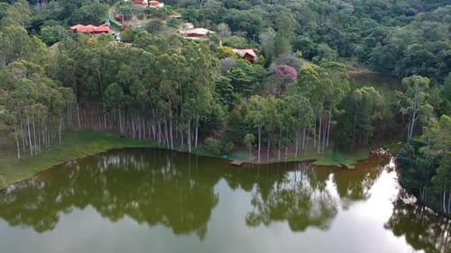 Aerial View of Lake with Forest