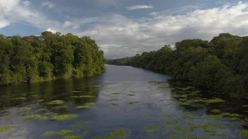 Jungle River
