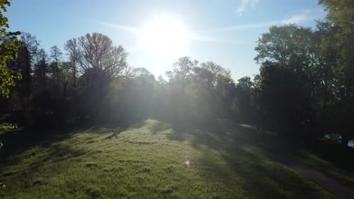 Aerial Drone View Flight Over Dirt Path in Park in Early Morning