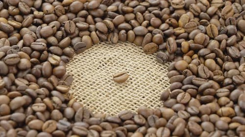 Close up of Roasted Coffee Beans on Burlap