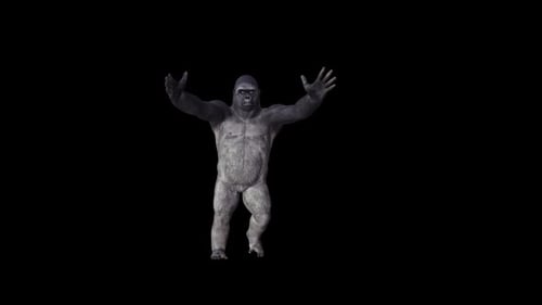Danse Para Para Gorilla