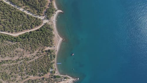 Sea Forest Faszinierendes Blau
