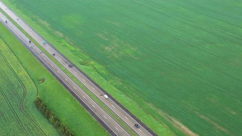 Top View of the Sown Green in Belarus