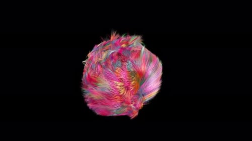 Boule de fourrure colorée avec fond transparent