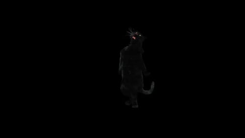 Animated Black Panther Standing on Hind Legs