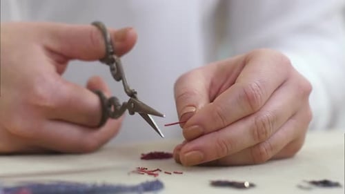 Woman Hands Cut the Red Wires on the Desk