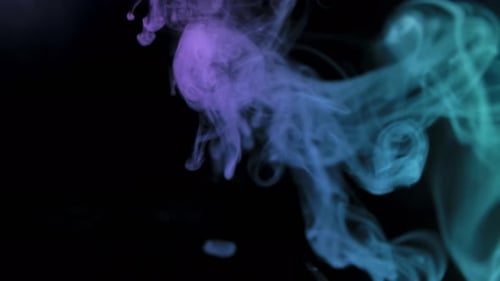Fog (4K)