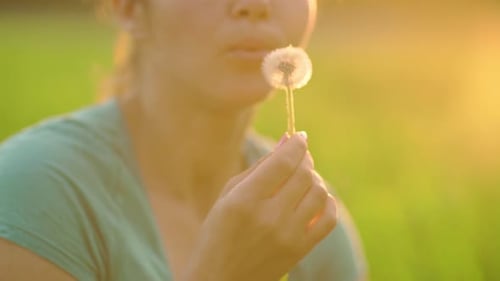 Woman Blowing Dandelion Seeds in Golden Sunlight