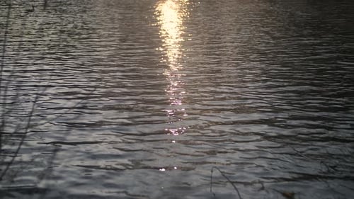 Luz solar dourada na água