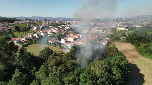 Village Forest Fire