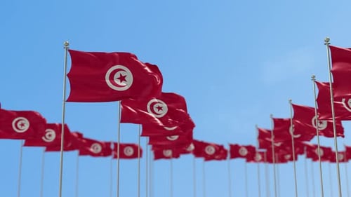 Tunisia National Flag Waving in Blue Sky 3D Animation