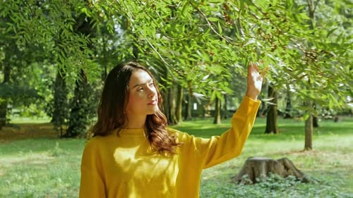 Smiling woman touching branches of tree in park