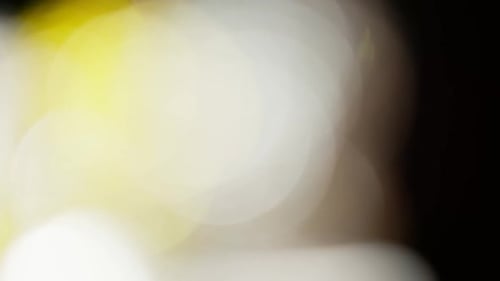 Light Leaks Footage for Projects Optical Glow Lens Flare Bokeh Transition Overlays Background