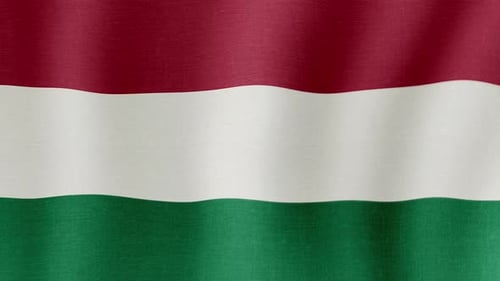 Waving Hungarian Flag Loop with Fabric Texture