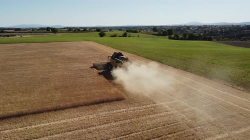 Harvesting Wheat Field with Tractor in Agriculture Farm