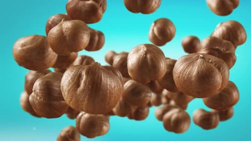 Floating Hazelnuts Food Animation on Blue Background
