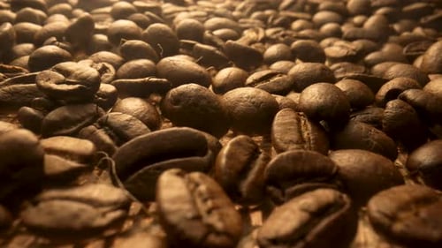 Roasted Brown Coffee Beans Lying on Burlap Close Up