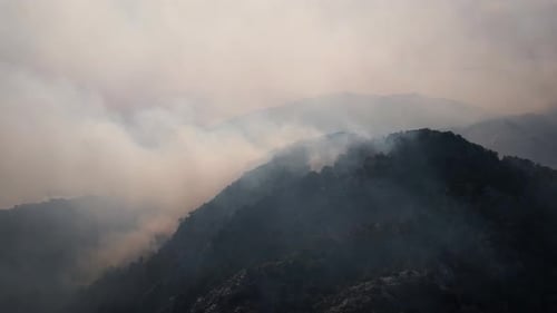 Großer Waldbrand