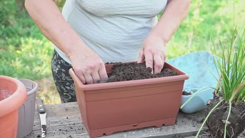 Woman Adding Soil to Planter Box Outdoors