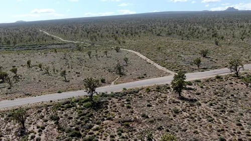 Aerial View of Endless Desert Straight Dusty Asphalt Road in Joshua Tree Park. USA.