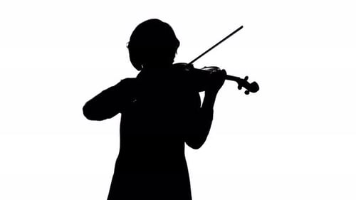 Violinist Performs on a Violin in a White studio.White Background. Silhouette
