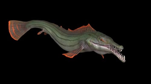 Hechtfisch 2