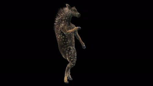 Animated Wild Boar Creature Dancing with Alpha Channel