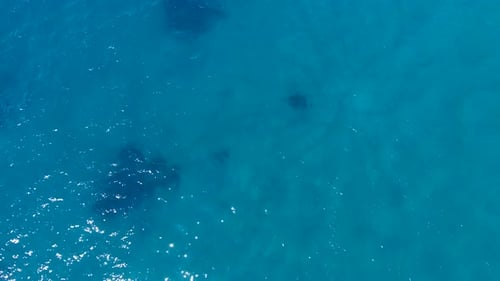 Aerial Clear Reef and Rocky Untouched Coastline of Bright Turquoise Sea