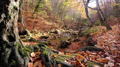 View of the River Flowing From the Mountain Waterfall