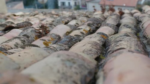Ancient Ceramic Roof Tiles