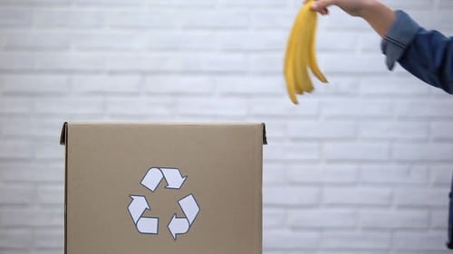 Throwing Banana Peel in Recycling Box